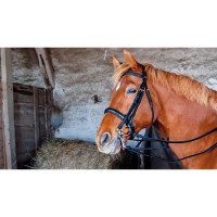 Bride de dressage cuir Pollock T de T Noir