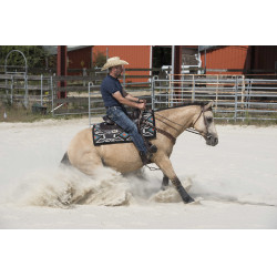 Selle Westride by Franck Perret Arvada Chocolat Marron Selle Westride by Franck Perret Arvada Chocolat Marron