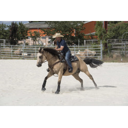 Selle Westride by Franck Perret Arvada Chocolat Marron Selle Westride by Franck Perret Arvada Chocolat Marron