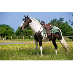 Westernzadel Westride Topeka