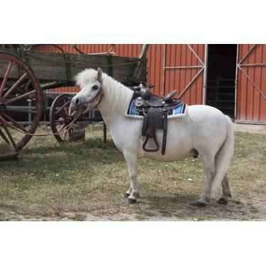 Westernzadel Westride Topeka Westernzadel Westride Topeka