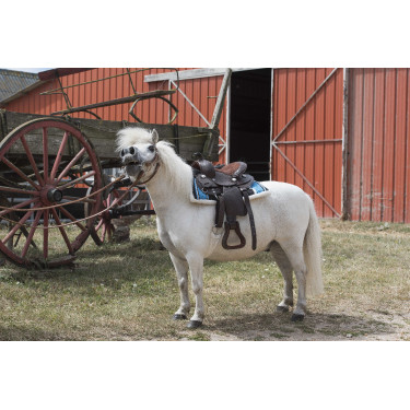 Westernzadel Westride Topeka Westernzadel Westride Topeka