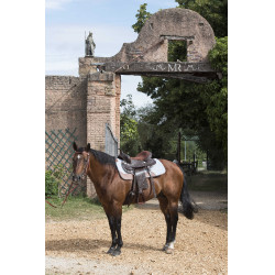 Horse pad Westride feutre 16 mm Gris Horse pad Westride feutre 16 mm Gris