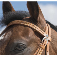 Bridon Westride by Franck Perret Aurora Noisette Marron Bridon Westride by Franck Perret Aurora Noisette Marron