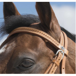 Bridon Westride by Franck Perret Aurora Noisette Marron Bridon Westride by Franck Perret Aurora Noisette Marron