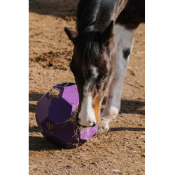 Balle anti-glouton Hippotonic pour foin multiple trou