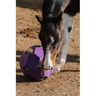 Balle anti-glouton Hippotonic pour foin multiple trou