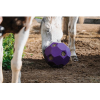 Anti-schrokbal Hippotonic voor hooi met meerdere gaten Violet Anti-schrokbal Hippotonic voor hooi met meerdere gaten Violet