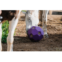 Balle anti-glouton Hippotonic pour foin multiple trou Violet