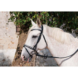 Leren hoofdstel Pissarot T de T Zwart