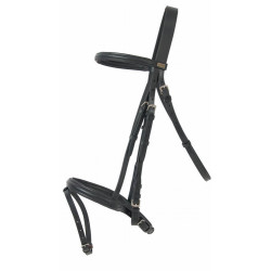 Bridon Sisley T met gecombineerde neusriem T van T Bridon Sisley T met gecombineerde neusriem T van T
