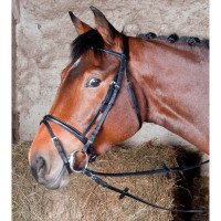 Lederen hoofdstel Bellini T de T Zwart Lederen hoofdstel Bellini T de T Zwart