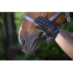 Handschoenen Equithème Soft leer
