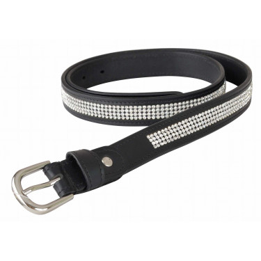 Strassriem T de T