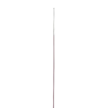 Chambrière WHIP & GO polyamide massif Bordeaux