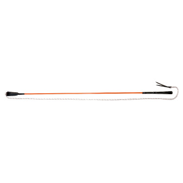 Stick éthologique Whip & Go Orange Stick éthologique Whip & Go Orange