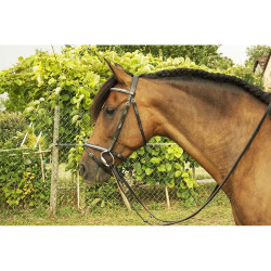 Witte clincher hoofdstel Goya T van T Witte clincher hoofdstel Goya T van T