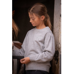 Sweater Pénélope Cassou Gemêleerd grijs