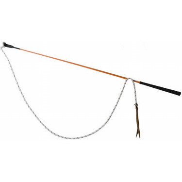 Carrot Stick T de T Orange