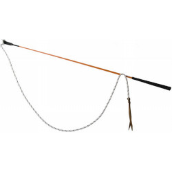 Ethologische stick T van T Oranje