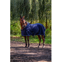 Chemise en maille fine Riding World Bleu marine