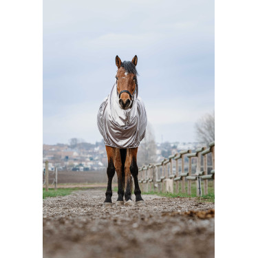 Chemise anti-eczéma Riding World Chemise anti-eczéma Riding World