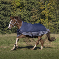 Couverture Equithème Tyrex 600 Doublée polaire
