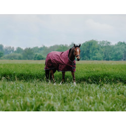 Couverture Equithème TYREX 1200D High Neck Bordeaux