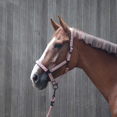 Licol Lami-Cell Charming Vieux rose Licol Lami-Cell Charming Vieux rose