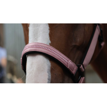 Licol Lami-Cell Charming Vieux rose Licol Lami-Cell Charming Vieux rose