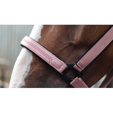 Licol Lami-Cell Charming Vieux rose Licol Lami-Cell Charming Vieux rose