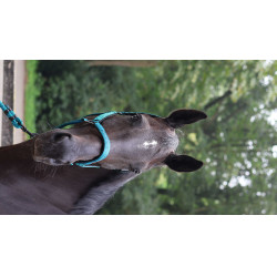 Licol Lami-Cell Charming Turquoise Bleu Licol Lami-Cell Charming Turquoise Bleu