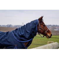 Nekbeschermer Equithème Classic 1200D Marineblauw