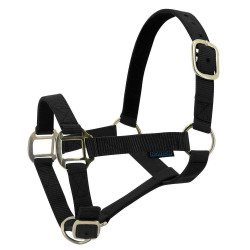 Nylon halster met lederen voering Norton Zwart Nylon halster met lederen voering Norton Zwart