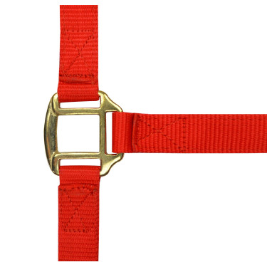 Licol nylon doublé cuir Norton Rouge Licol nylon doublé cuir Norton Rouge