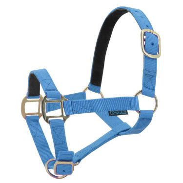 Licol nylon doublé cuir Norton Bleu ciel Licol nylon doublé cuir Norton Bleu ciel
