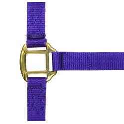 Nylon halster met lederen voering Norton Violet