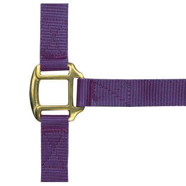 Licol nylon doublé cuir Norton Violet Licol nylon doublé cuir Norton Violet