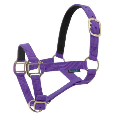 Licol nylon doublé cuir Norton Violet Licol nylon doublé cuir Norton Violet