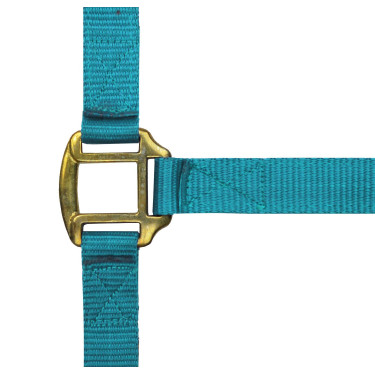 Licol nylon doublé cuir Norton Turquoise Licol nylon doublé cuir Norton Turquoise