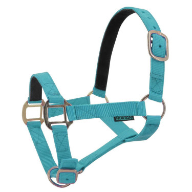 Licol nylon doublé cuir Norton Turquoise Licol nylon doublé cuir Norton Turquoise
