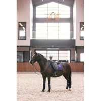 Polo bandages Imperial Riding Cosmic Sparkle Marine Marineblauw