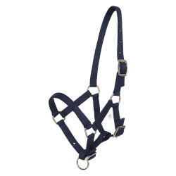 Licol foal HV Polo Nena
