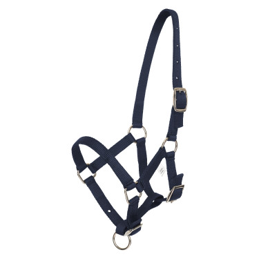 Licol foal HV Polo Nena Licol foal HV Polo Nena