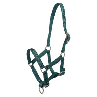 Licol foal HV Polo Nena Vert canard Licol foal HV Polo Nena Vert canard