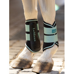 Gesloten peesbeschermers Mini LeMieux Aqua