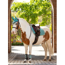 Gesloten peesbeschermers Mini LeMieux Aqua