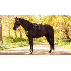 Tapis LeMieux Loire Classic Close Contact Square Damson