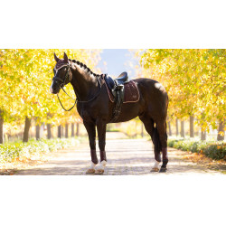 Tapis LeMieux Loire Classic Dressage Square Damson Violet