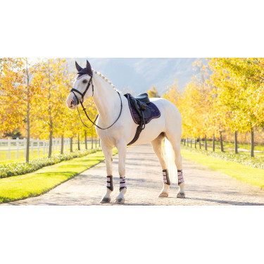 Tapis de selle mixte LeMieux Loire Classic GP Square Juniper Violet